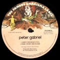 Peter Gabriel (1)