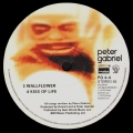 Peter Gabriel (4)