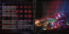 Confessions On A Dancefloor (Silver)