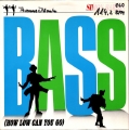 Bass (How Low Can You Go)